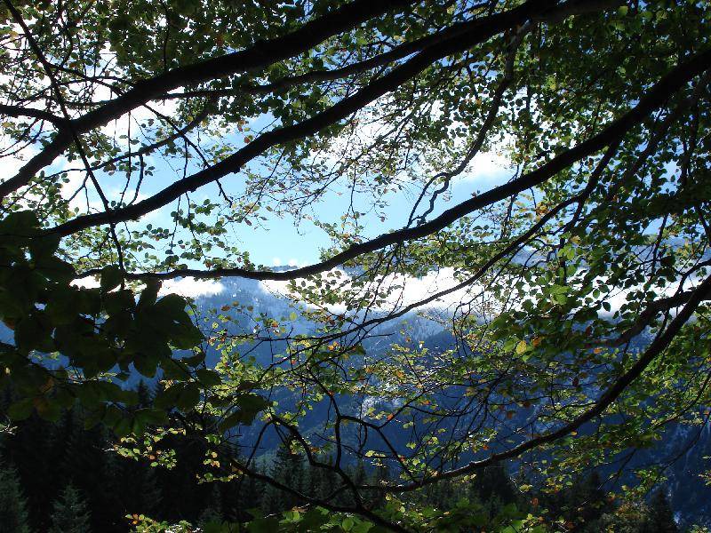 Photo of Others in Hinterstein