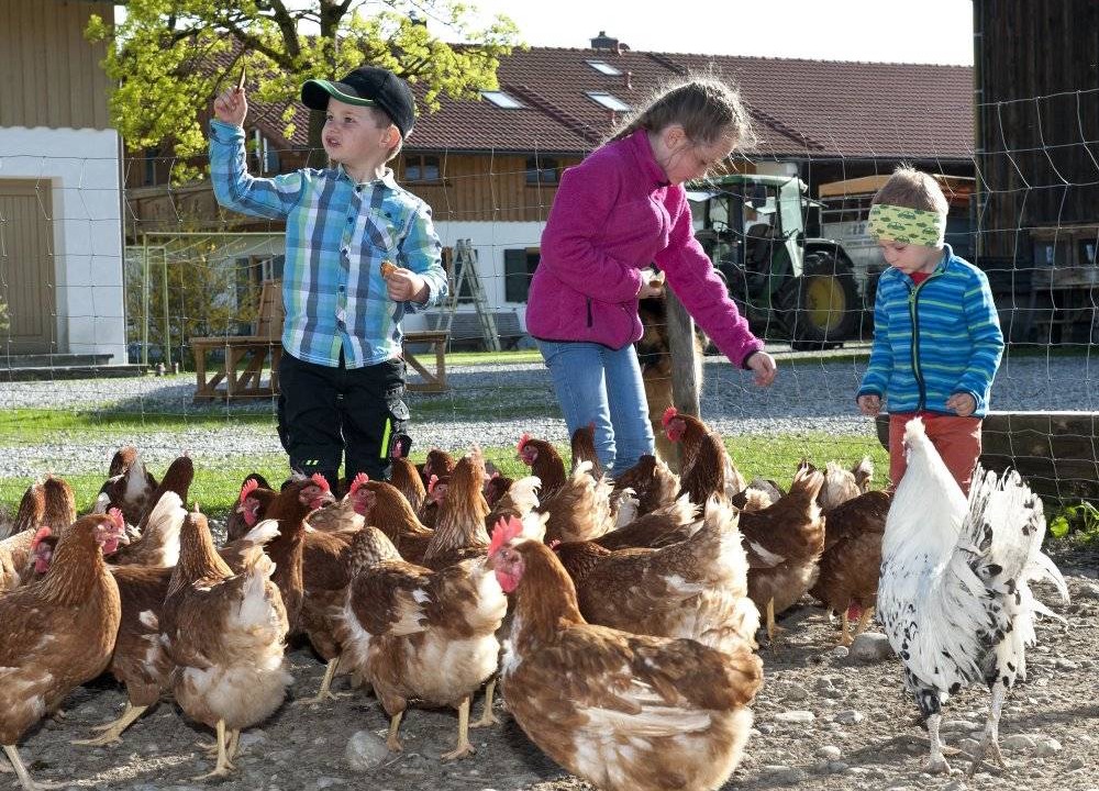 Photo of Others in Peissenberg