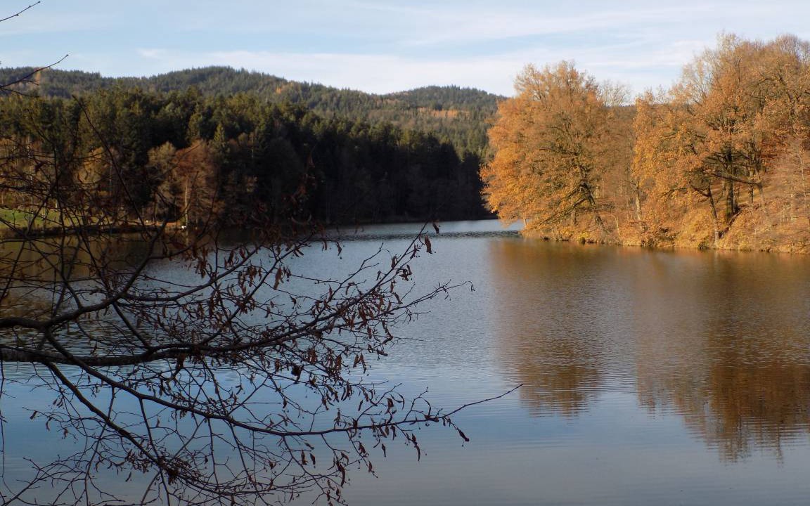 Photo of Others in Hauzenberg