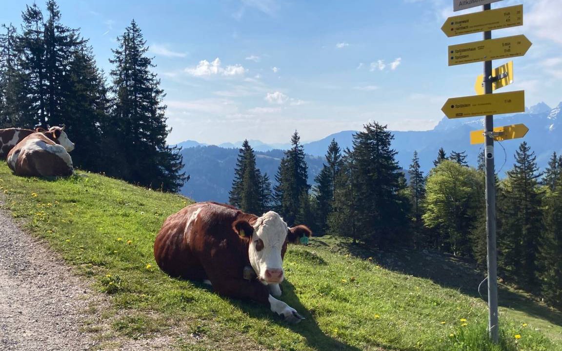 Photo of Others in Aschau im Chiemgau