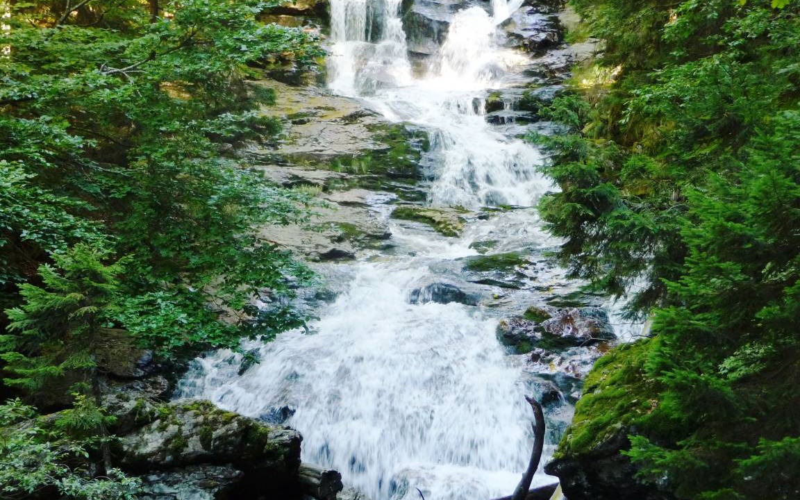 Photo of Others in Kirchdorf im Wald