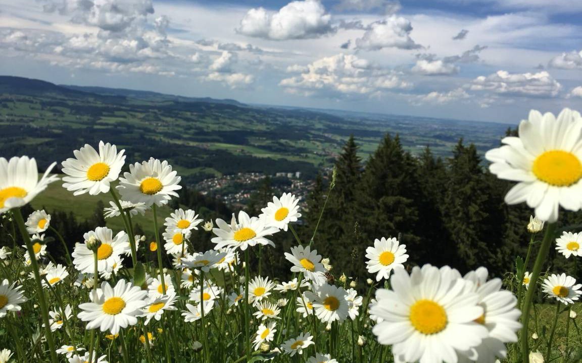 Photo of Others in Nesselwang