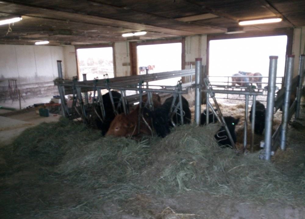 Photo of Others in Gerolfingen