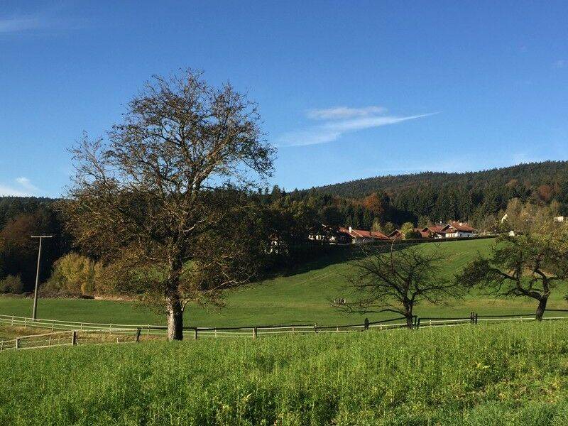 Photo of Others in Hauzenberg