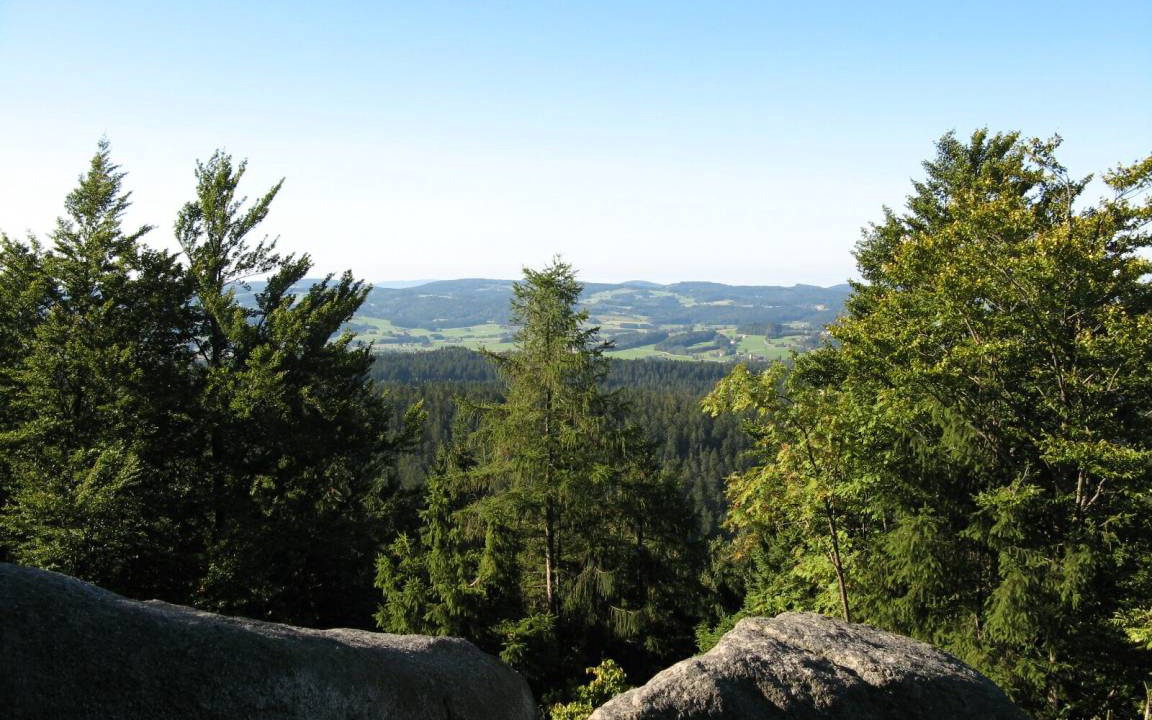 Photo of Others in Neureichenau