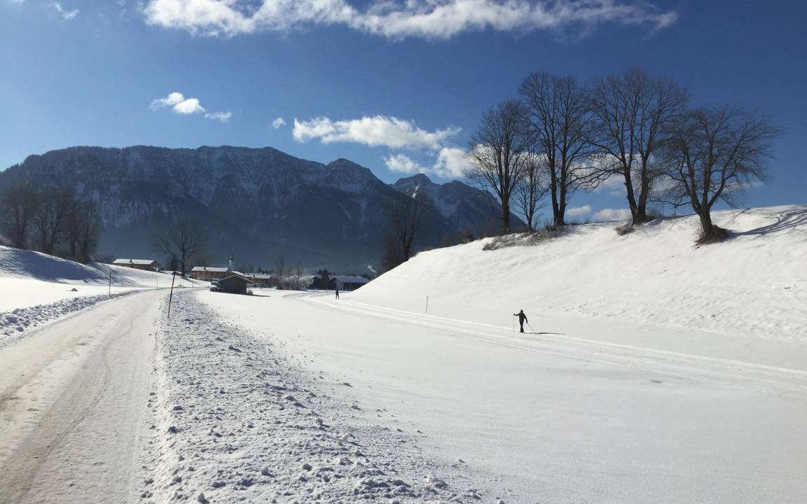Photo of Others in Inzell