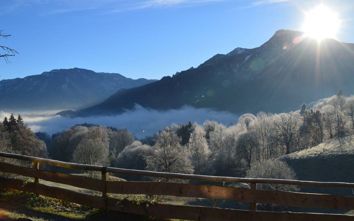 Photo of Others in Bad Reichenhall