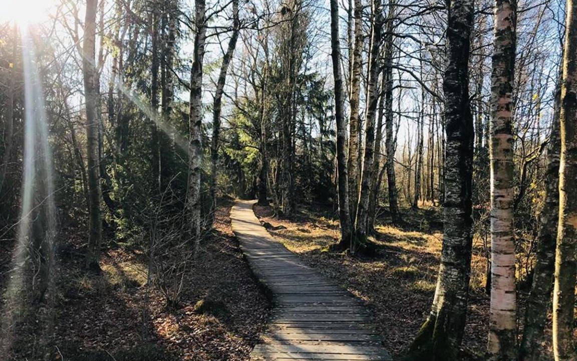 Photo of Others in Stetten
