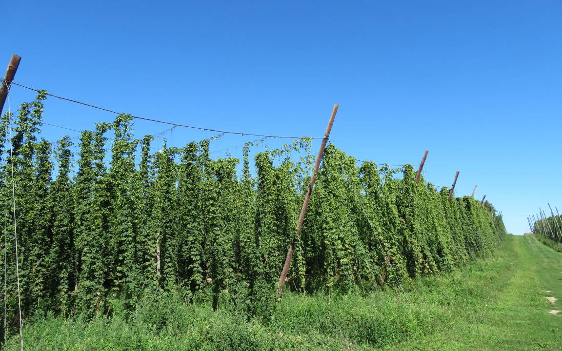 Photo of Outdoor in Osterwaal