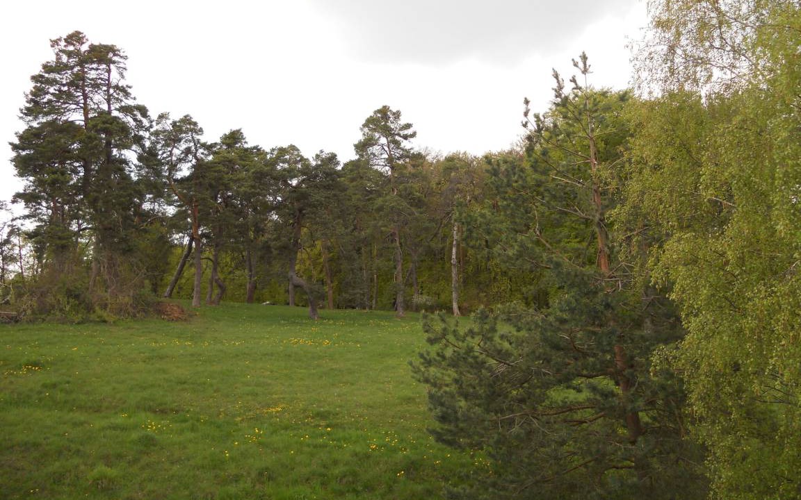 Photo of Others in Pappenheim