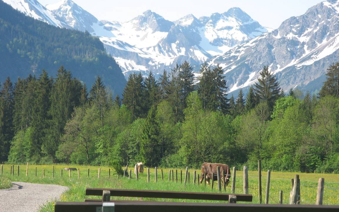 Photo of Others in Oberstdorf