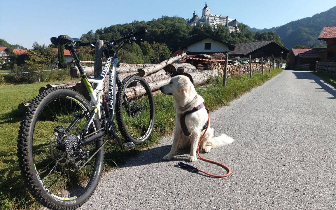 Photo of Others in Aschau im Chiemgau