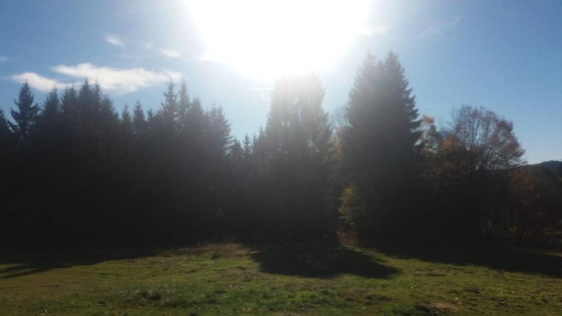 Photo of Outdoor in Maibrunn