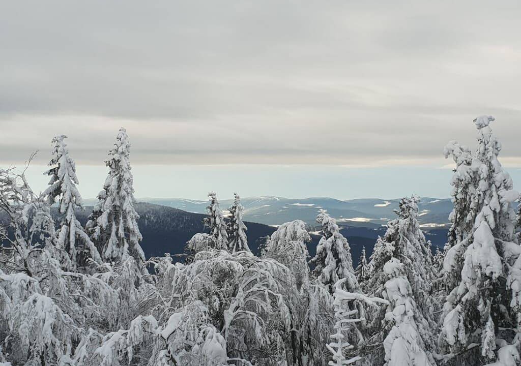 Photo of Others in Rimbach