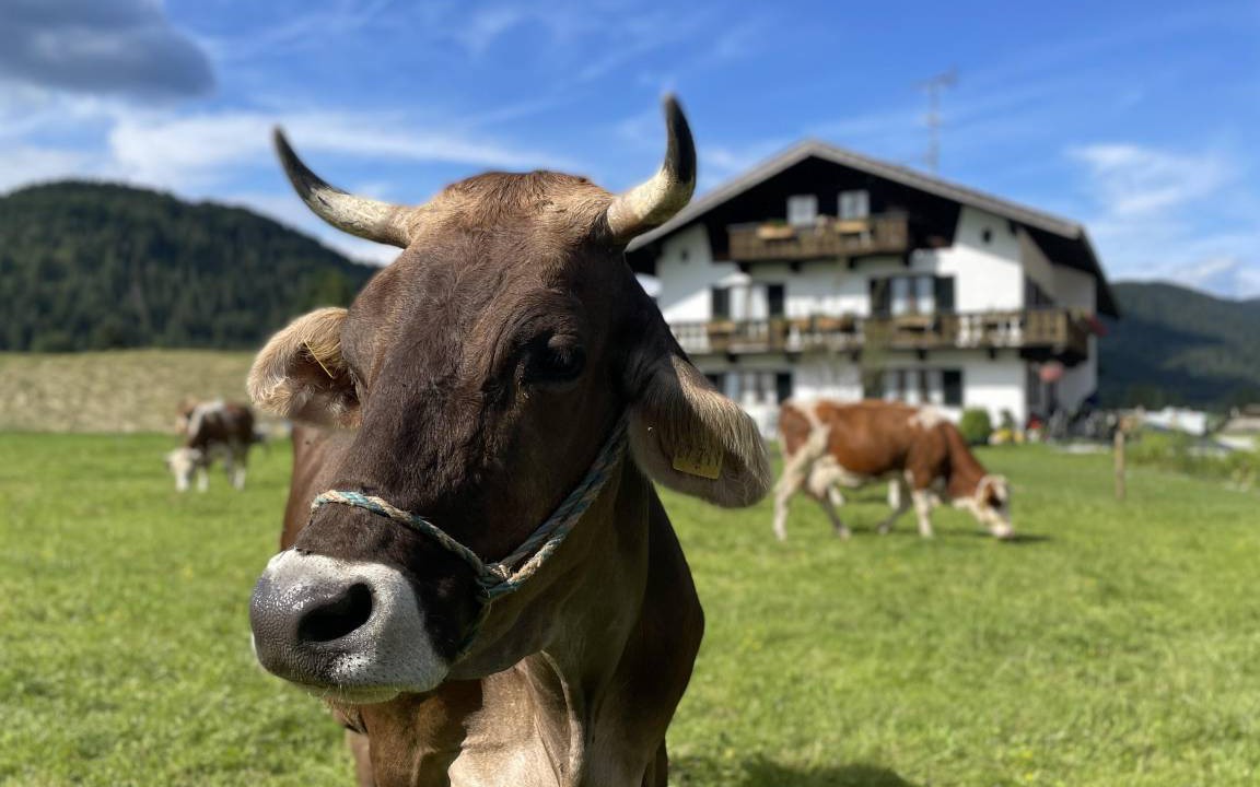 Photo of Others in Wallgau