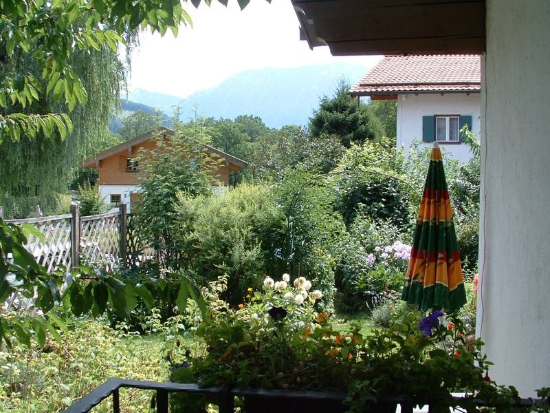 Photo of Others in Bibelod