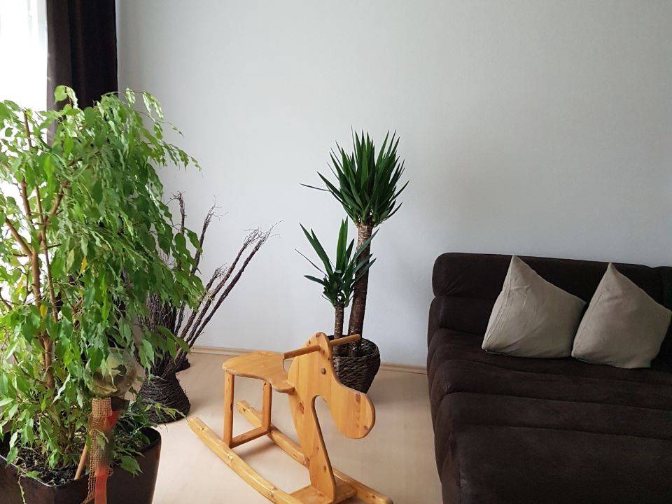 Photo of Livingroom in Feldwies