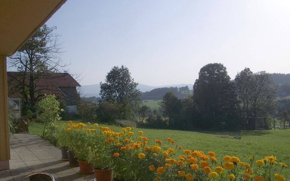 Photo of Others in Viechtach