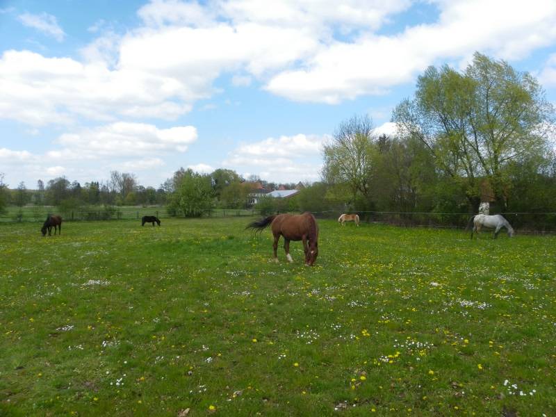 Photo of Others in Weiltingen