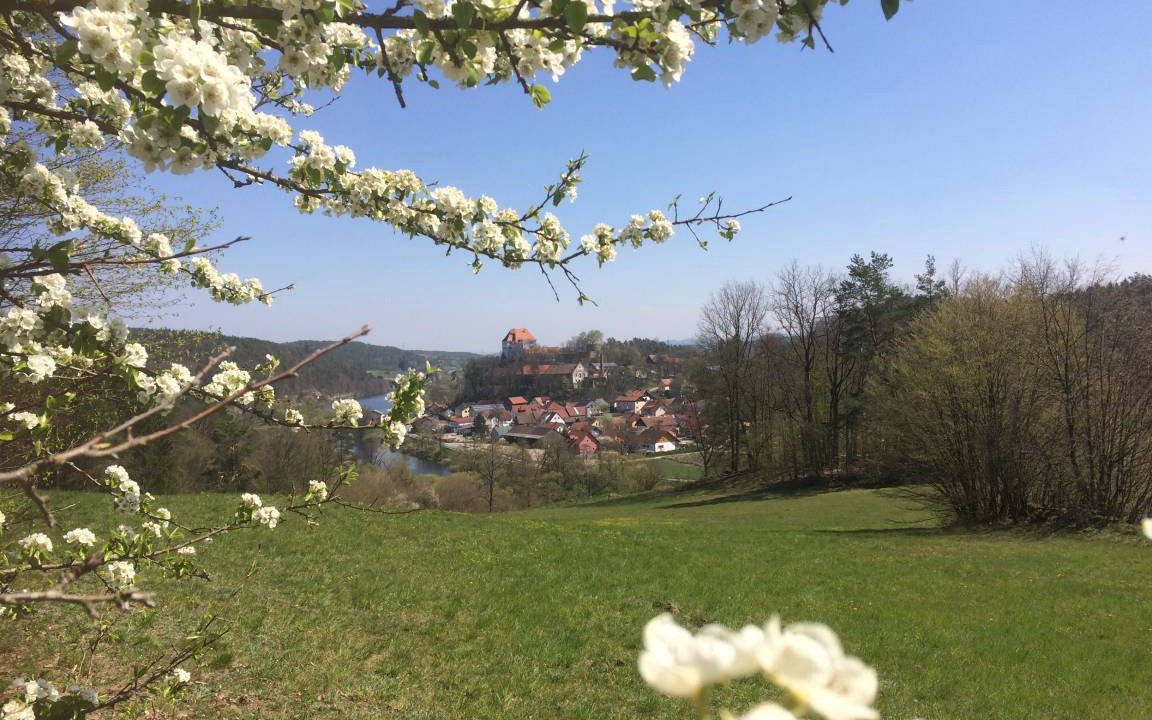 Photo of Others in Nittenau
