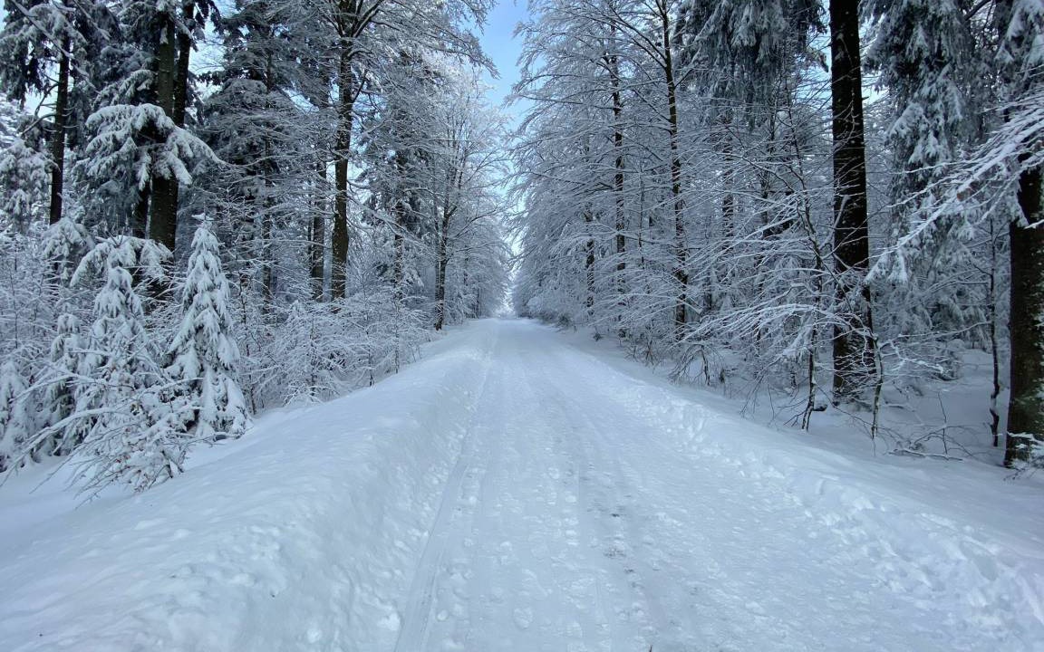 Photo of Others in Neureichenau