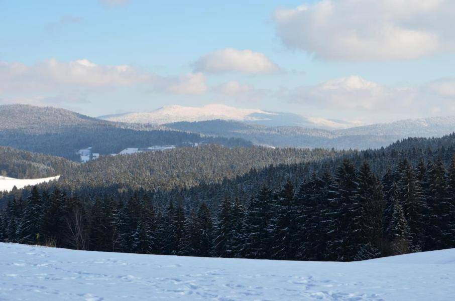 Photo of Others in Gotteszell