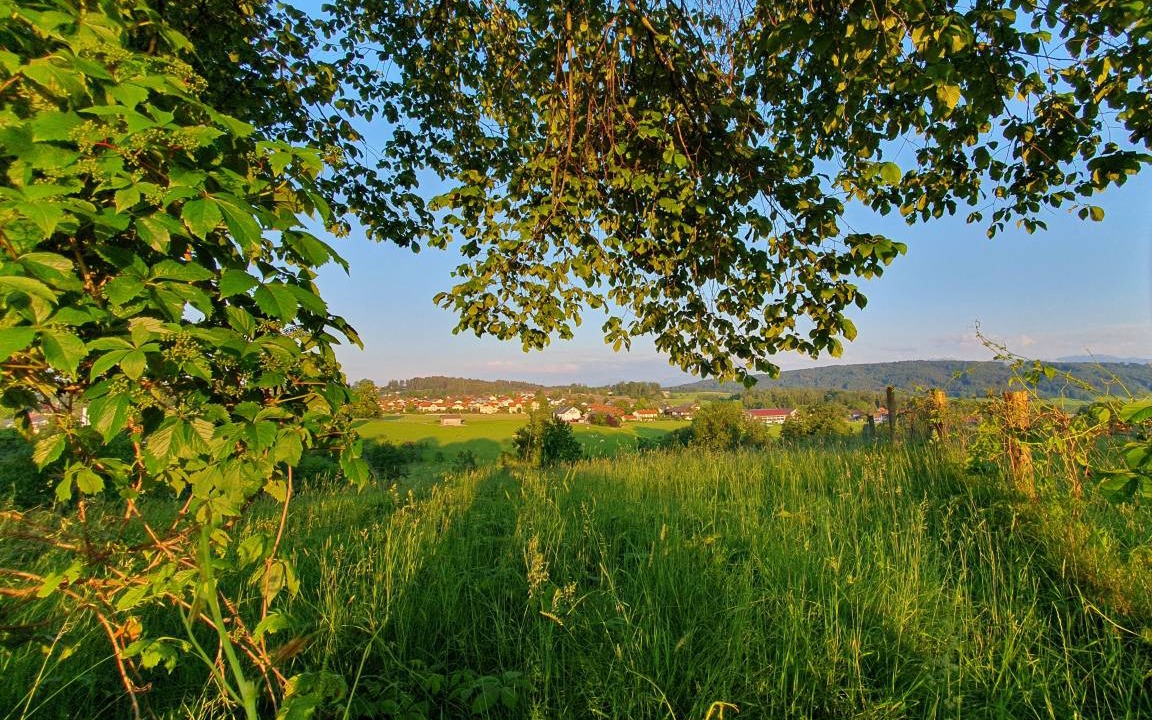Photo of Others in Bad Endorf