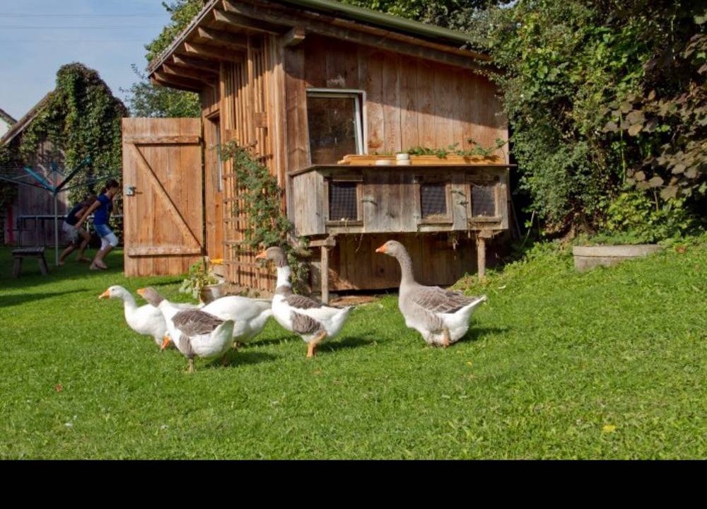 Photo of Others in Unterallgau