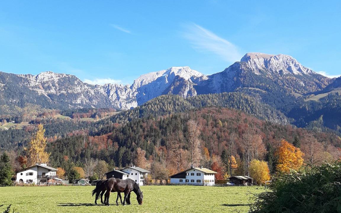 Photo of Others in Unterschonau