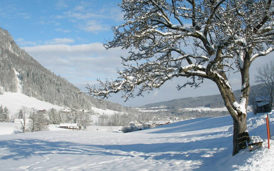 Photo of Others in Ruhpolding