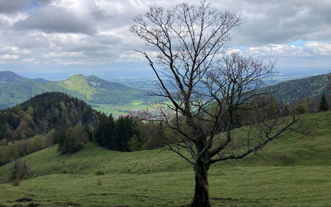Photo of Others in Hohenaschau im Chiemgau