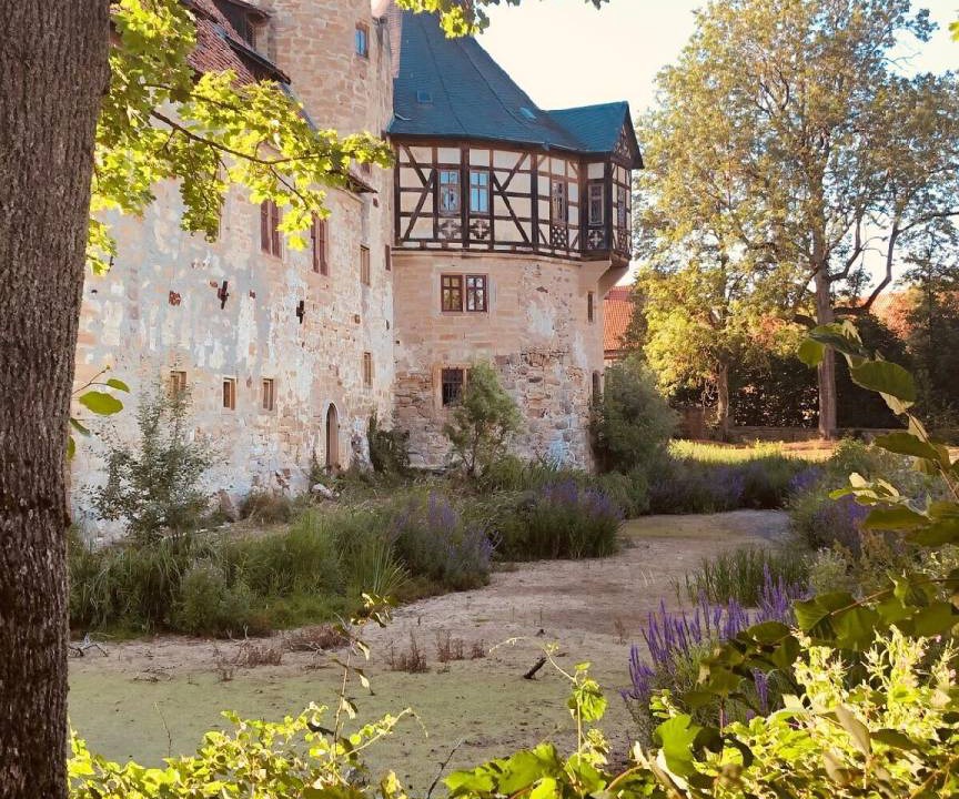 Photo of Others in Hochheim