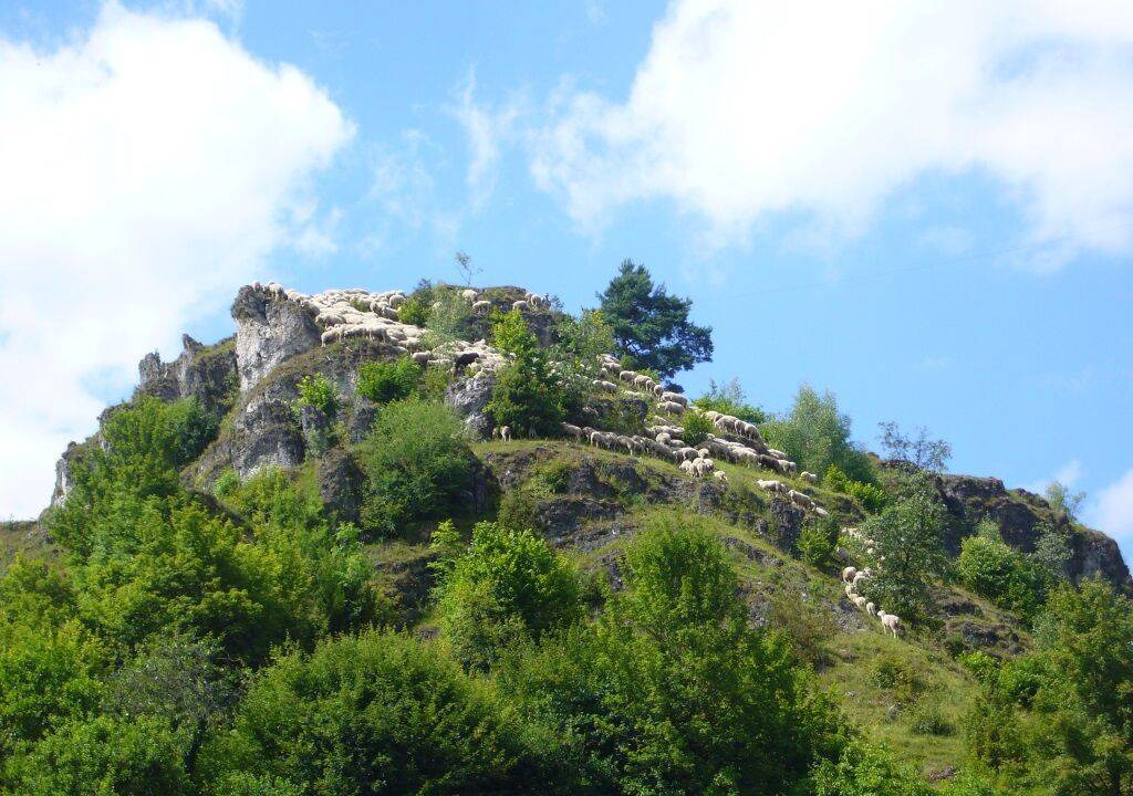 Photo of Others in Pottenstein