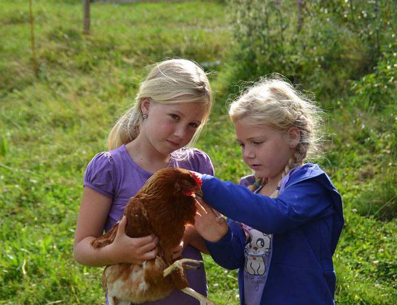 Photo of Others in Niederaudorf