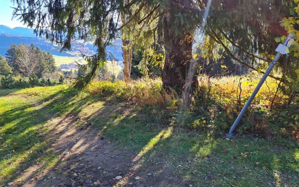Photo of Outdoor in Rettenberg