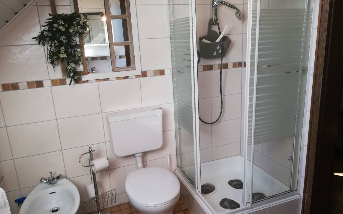 Photo of Bathroom in Fladungen