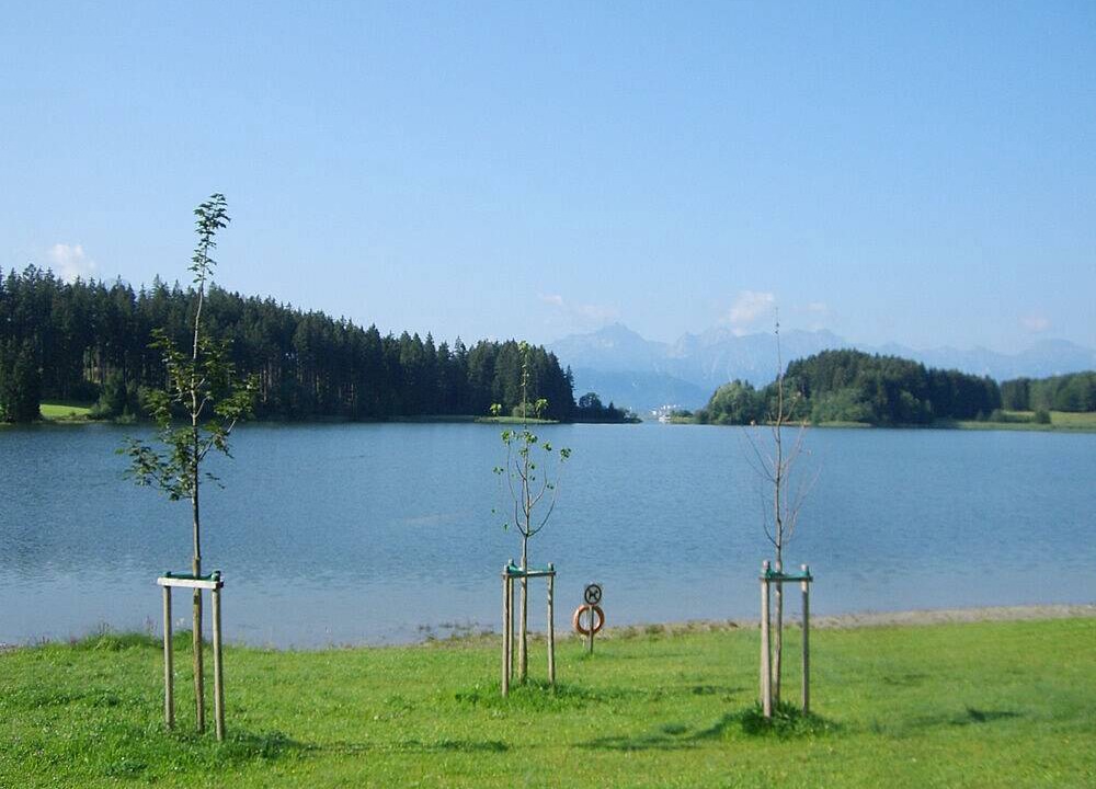 Photo of Others in Trauchgau