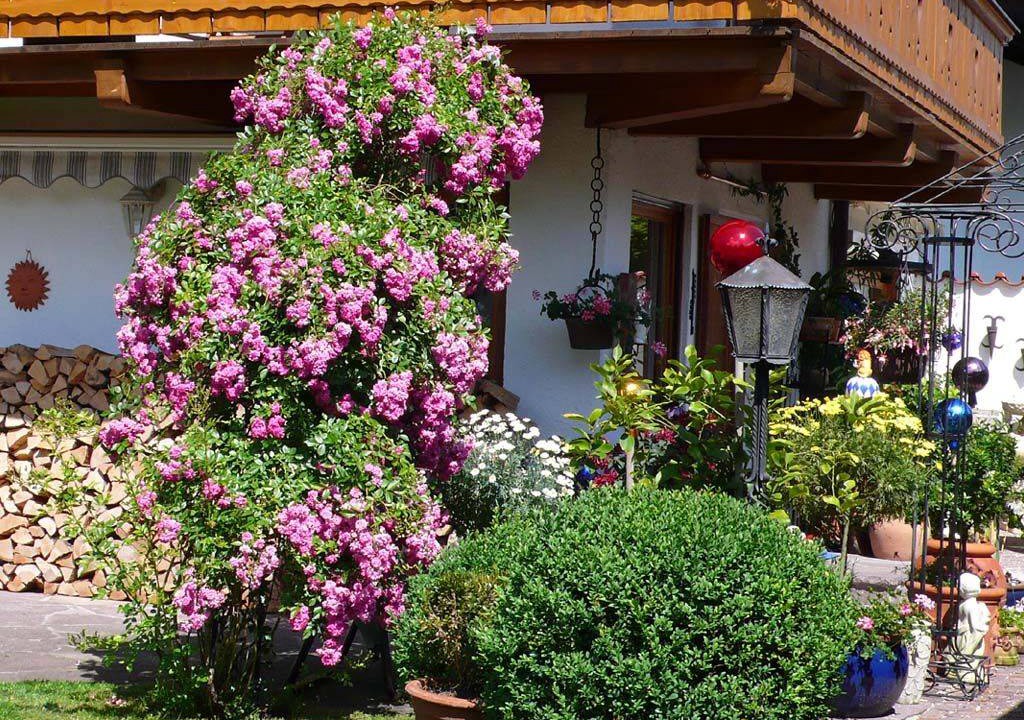 Photo of Others in Garmisch-Partenkirchen