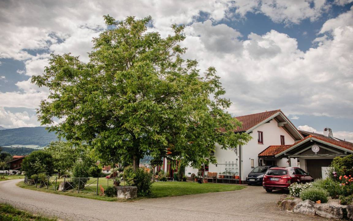 Photo of Others in Teisendorf