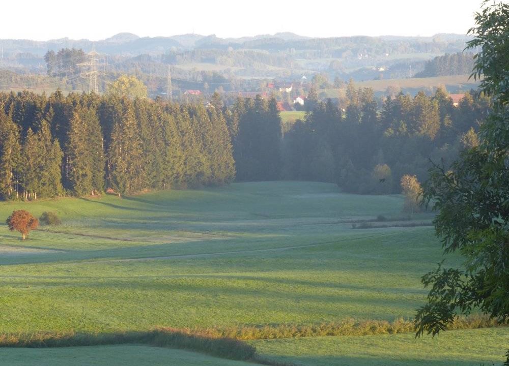 Photo of Others in Opfenbach