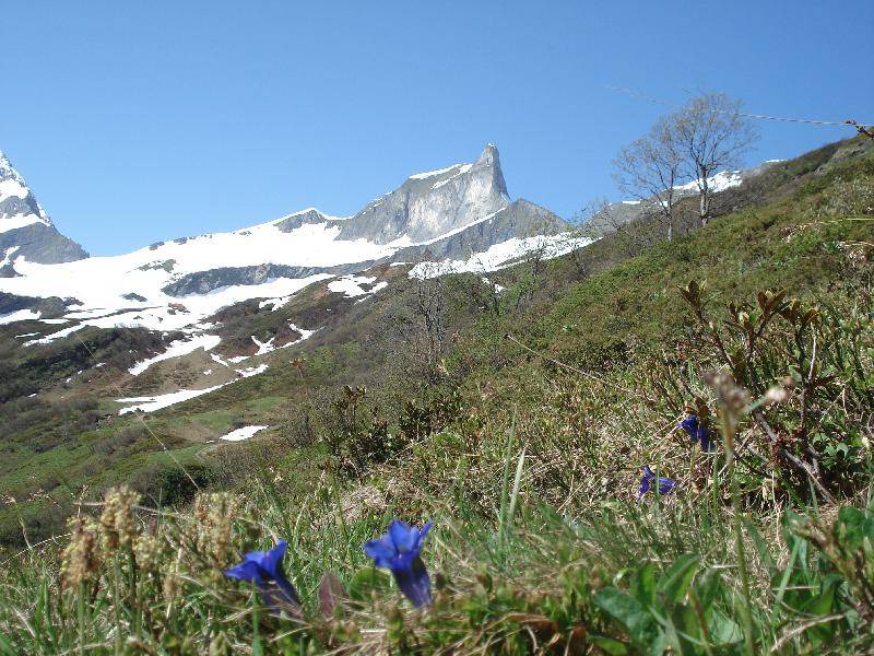 Photo of Others in Hinterstein
