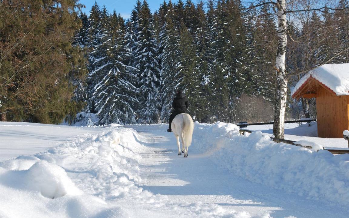 Photo of Others in Osterreinen