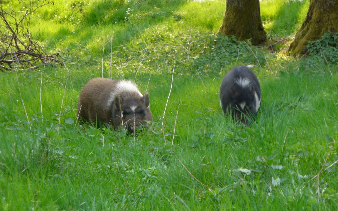 Photo of Others in Marktrodach