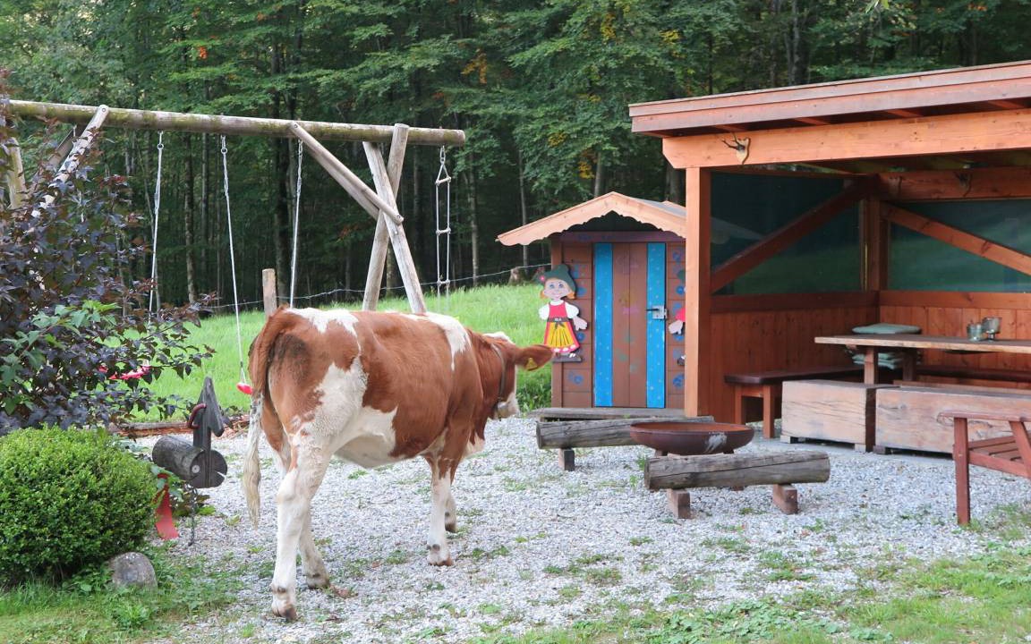 Photo of Others in Aschau im Chiemgau