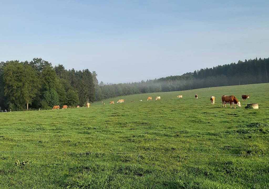 Photo of Others in Roßbach