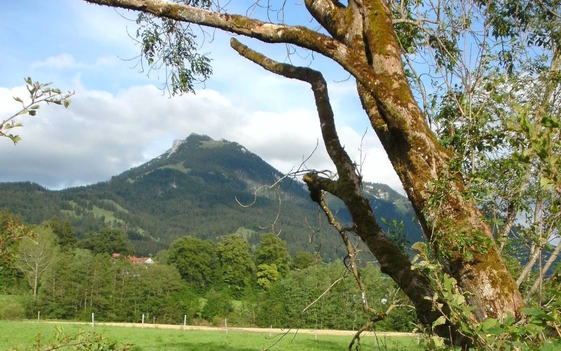 Photo of Others in Fischbachau