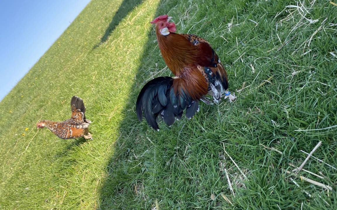 Photo of Others in Bobrach