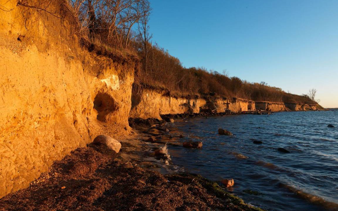 Photo of Others in Gollwitz