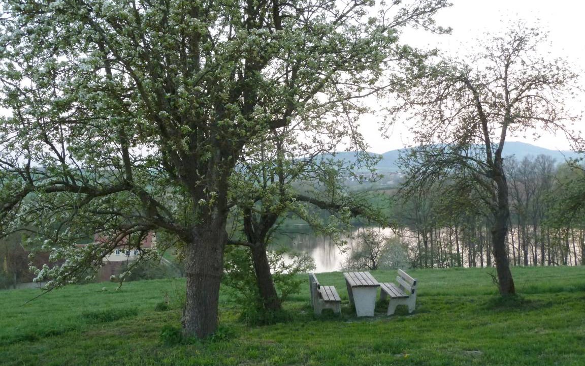 Photo of Others in Ehingen