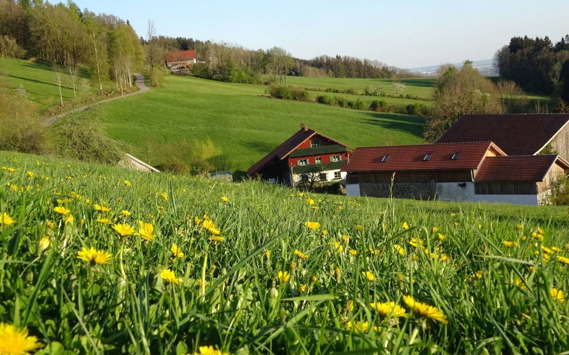 Photo of Others in Schwarzach